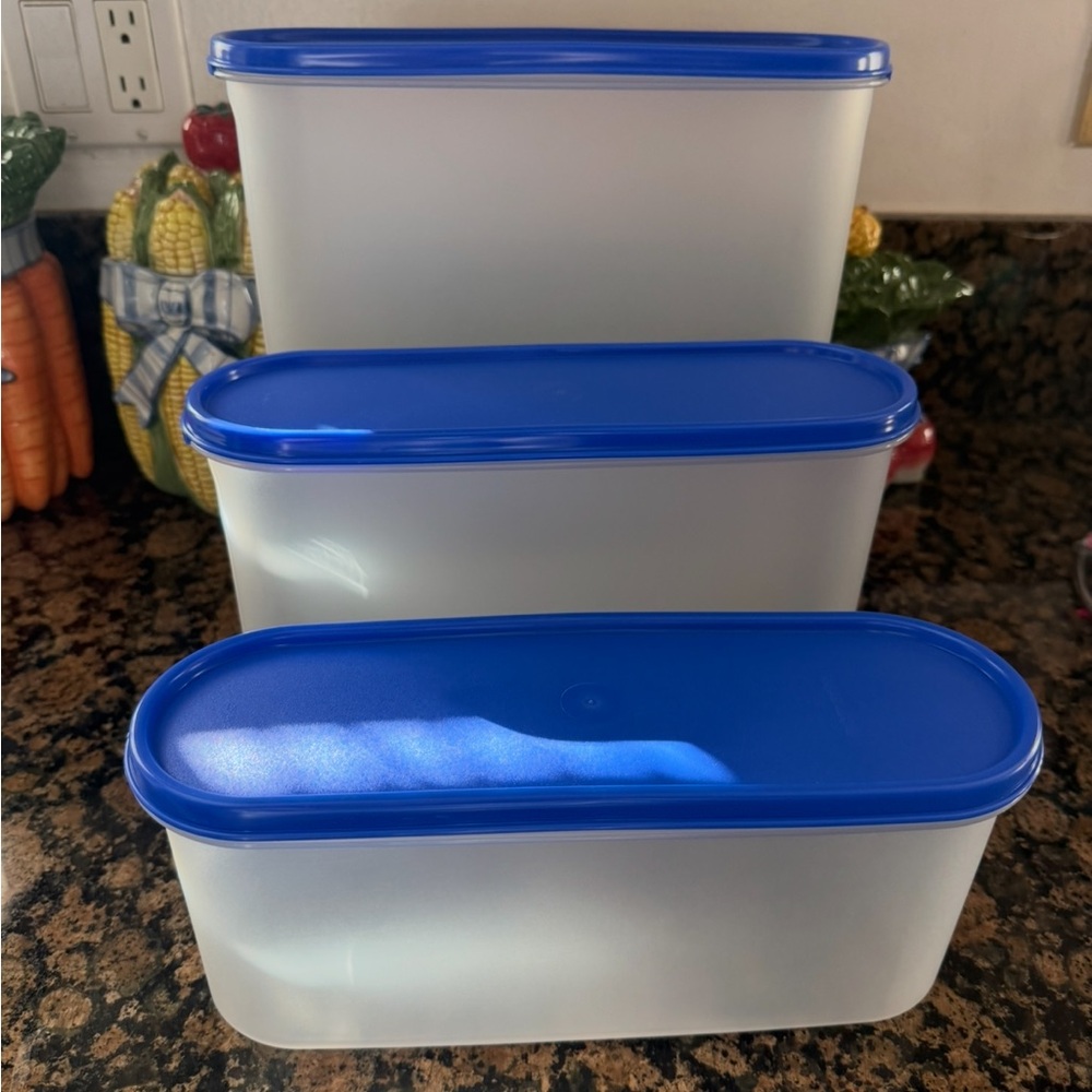 NWT Vintage Tupperware Modular Oval 3 Pc’s set with Blue Lids